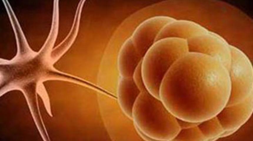 Kendi k&ouml;k h&uuml;cresinden damar yapıldı!