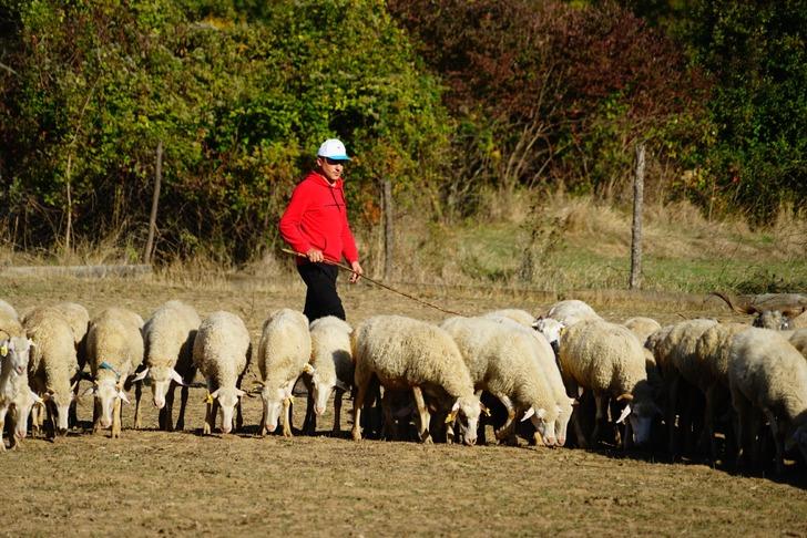  Şehir hayatını bırakıp köye yerleşti! Devlet desteği ile gelirini üç katına çıkardı: "Gençlerin dikkatini çekti, arayan çok" G2