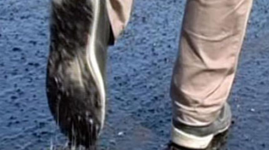 Sıcaktan asfalt eridi!