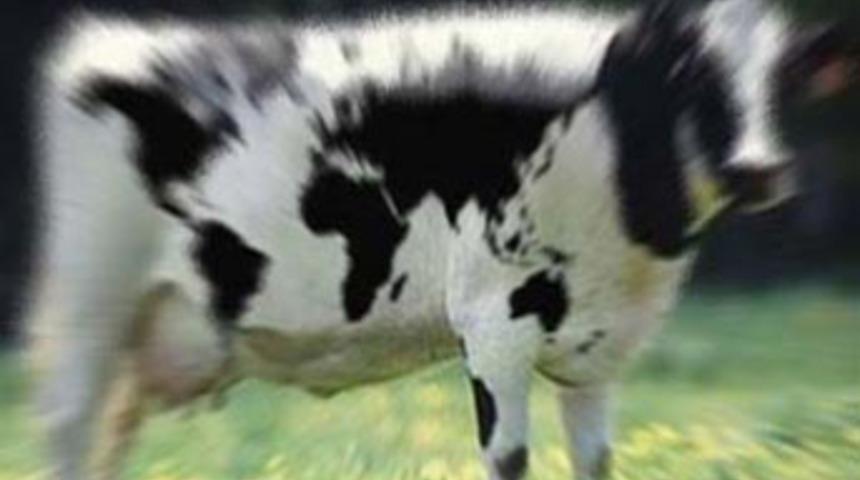 Balıkesir'de akıl almaz hırsızlık