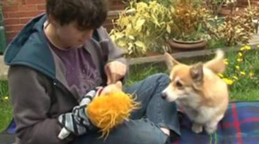 K&ouml;pek otistik sahibini okula g&ouml;t&uuml;rd&uuml;!