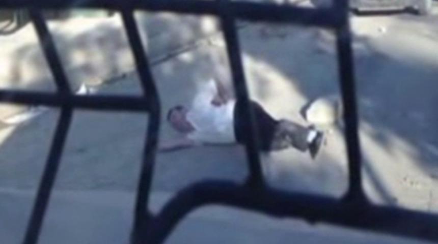 PKK, terörist cenazesinde böyle vurdu