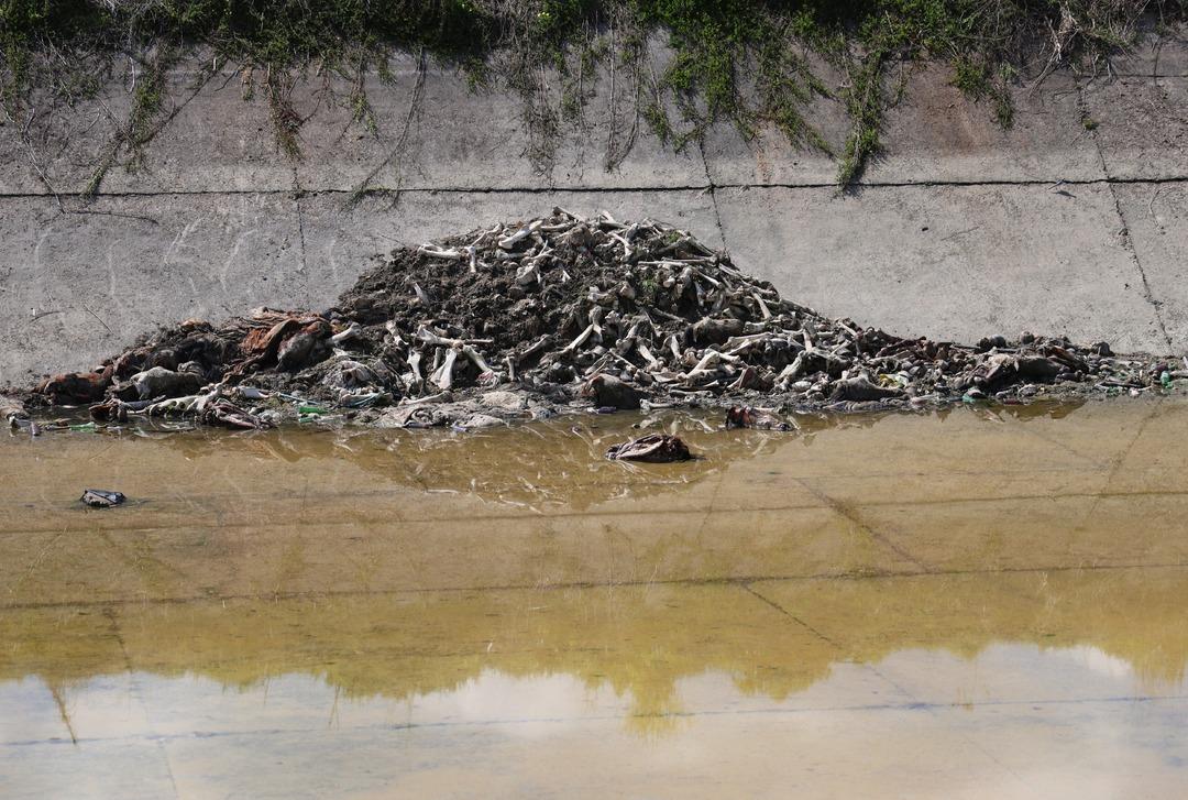 Yer: Adana! K&ouml;t&uuml; koku yayması &uuml;zerine bulundu: Y&uuml;zlercesi &uuml;st &uuml;ste yığılmış...