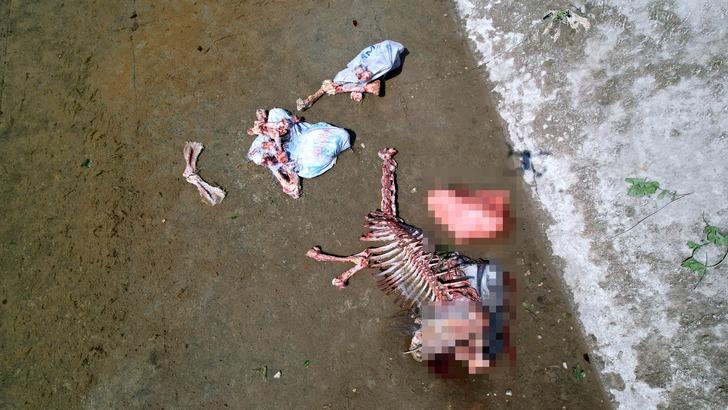 Yer: Adana! Kötü koku yayması üzerine bulundu: Yüzlercesi üst üste yığılmış... G4