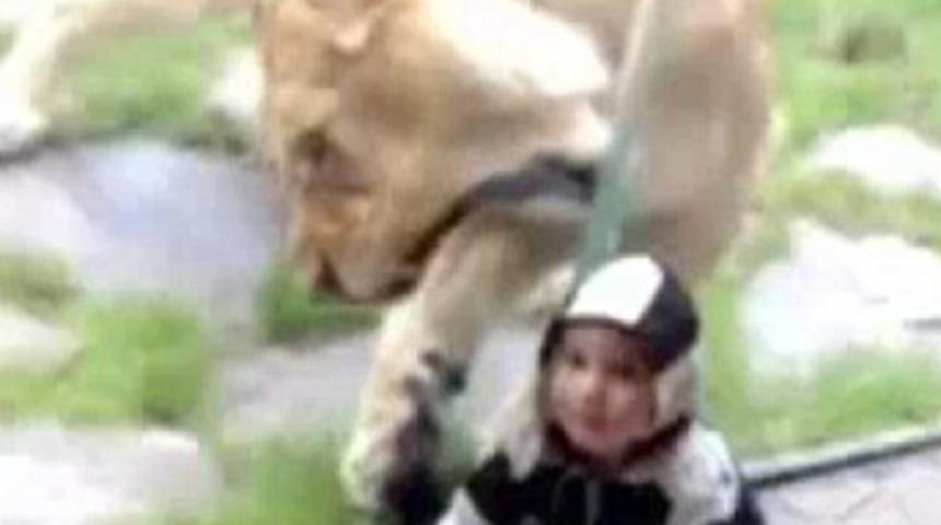 Hayvanat bahçesinde dehşet anları!