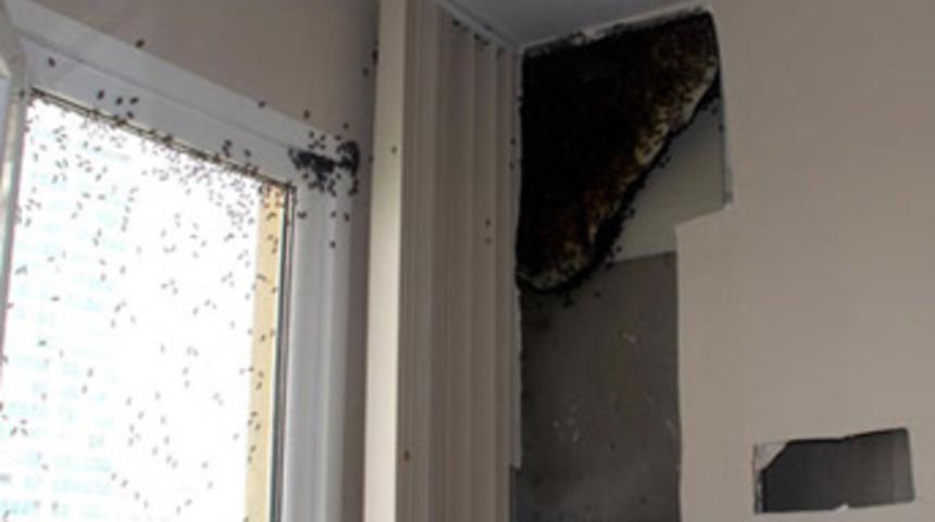 Kadık&ouml;y'de hayrete d&uuml;ş&uuml;ren olay