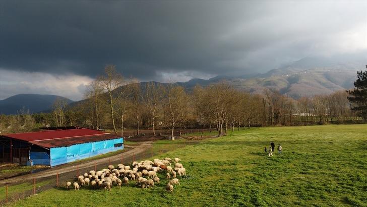 Köy hayatı tutkunu çift 2 koyunla başladı! Şimdi çiftlik sahibi oldular G3