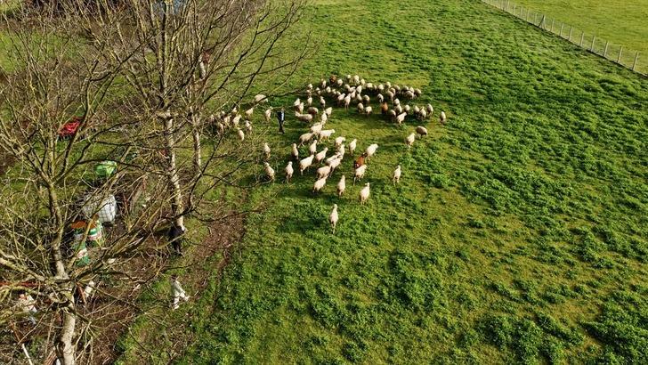 Köy hayatı tutkunu çift 2 koyunla başladı! Şimdi çiftlik sahibi oldular G1