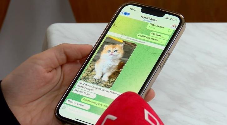 Pet shopta yasaklanan hayvan satışı sosyal medyada patladı! Rakamlar dudak uçuklatıyor G5