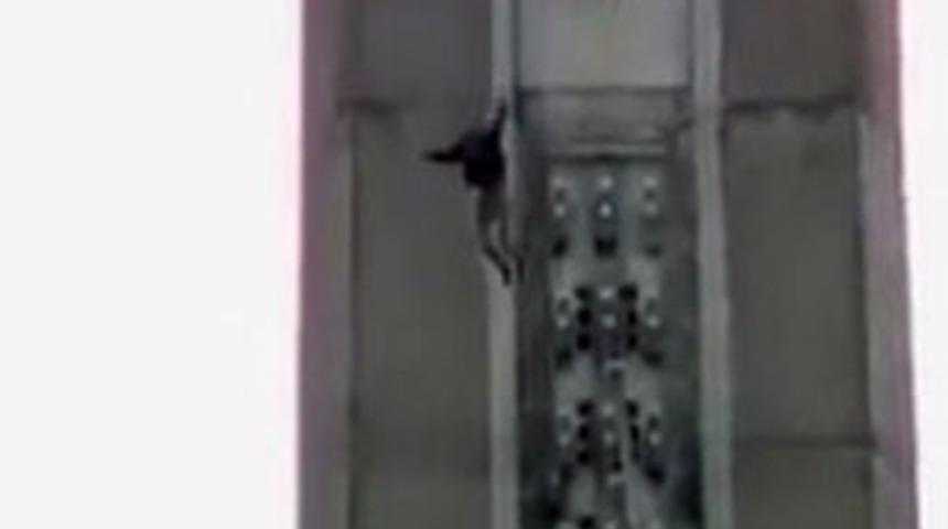 110 metreden ölüme atladı!