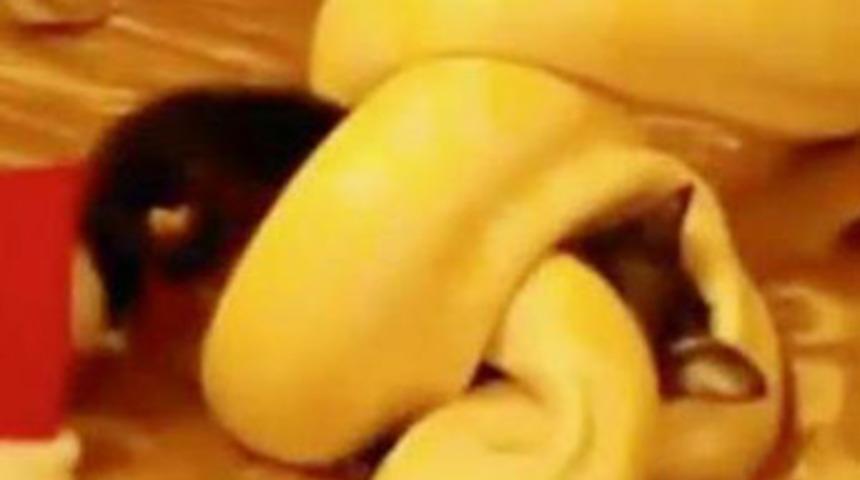 'Kurban bu defa bir hayvan olmayacak'