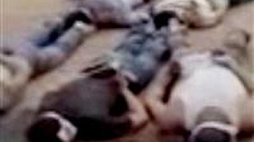 13 kişiye sokakta infaz