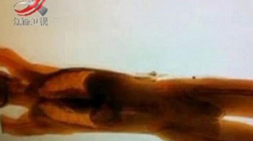 Güvenlik görevlileri şaşkına döndü!