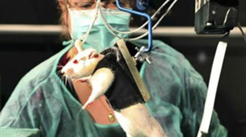 Tıp dünyasında büyük devrim