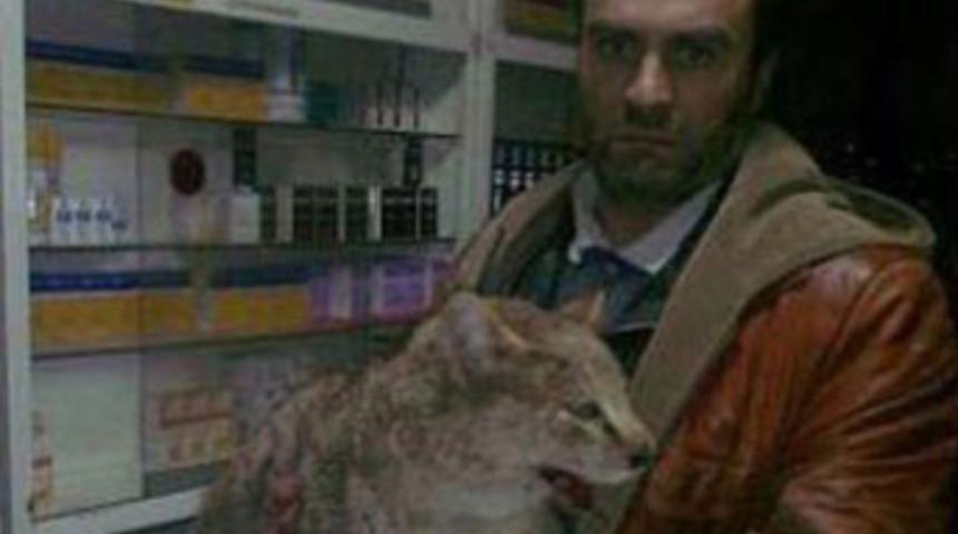 O veterinerin cezası belli oldu