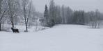 Bahar ayında Sakarya’nın yüksek kesimlerinde lapa lapa kar yağıyor
