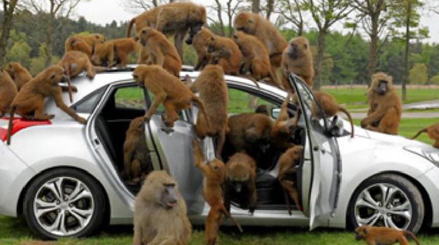 Otomobili böyle test ettiler!