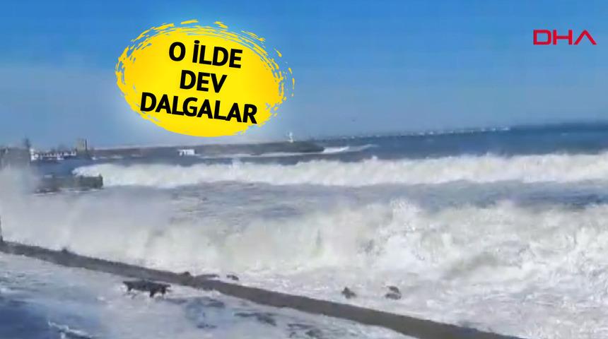 O ilde dev dalgalar! 3 metreye ulaştı... 'Sahilden uzak durun' uyarısı
