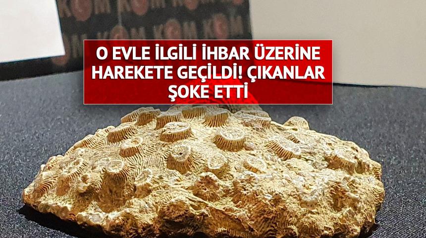 Kayseri'deki o evle ilgili ihbar üzerine harekete geçildi! Tam 8 tane çıktı: 10 milyon yıllık...
