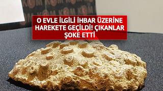 Kayseri'deki o evle ilgili ihbar üzerine harekete geçildi! Tam 8 tane çıktı: 10 milyon yıllık...