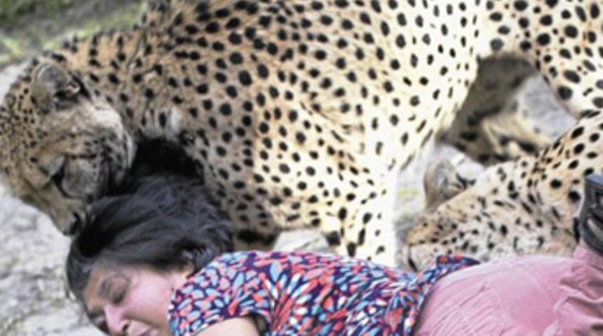 &Ccedil;itanın eşine saldırma anını g&ouml;r&uuml;nt&uuml;ledi!