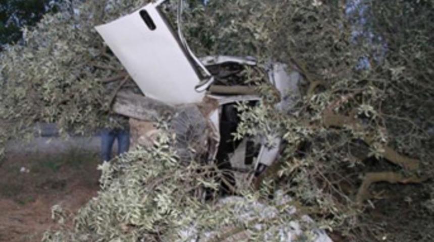 Otomobil ağacın &uuml;zerine &ccedil;ıktı!