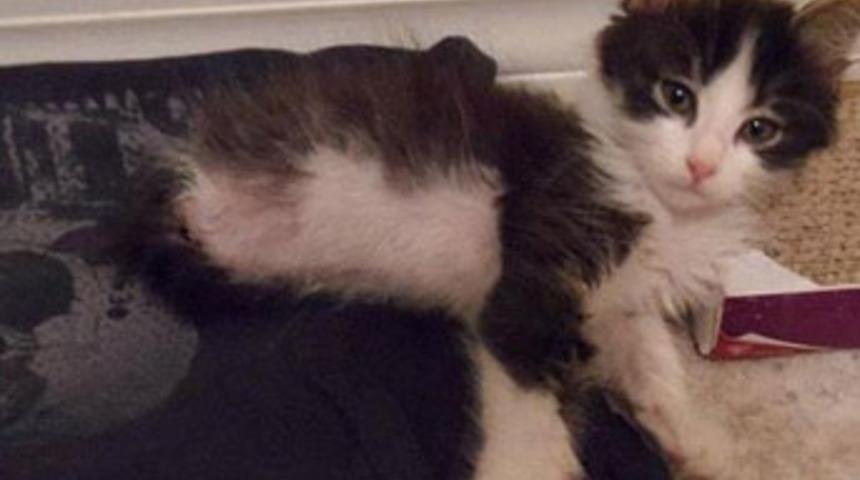 D&uuml;nyanın yıldızı oldu