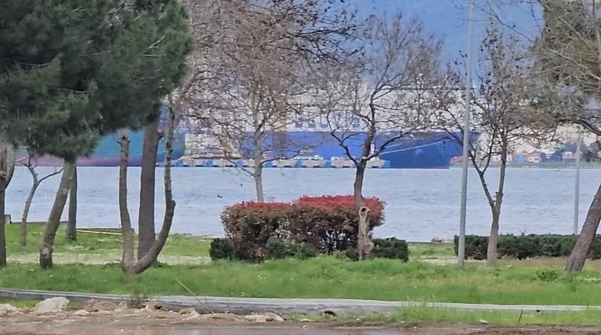 Gölcük’ün yeni sosyal alanında deniz göründü