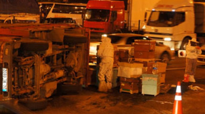 FSM'de 'arı' trafiği