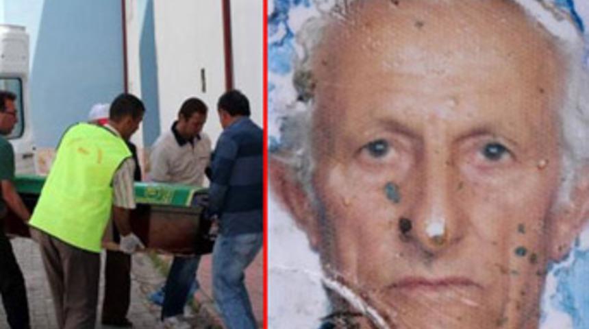 Arı saldırısına uğradı, keneden &ouml;ld&uuml;!