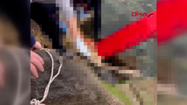 Bandırma'da sahile ceset vurdu! Batan geminin mürettebatı olup olmadığı araştırılacak