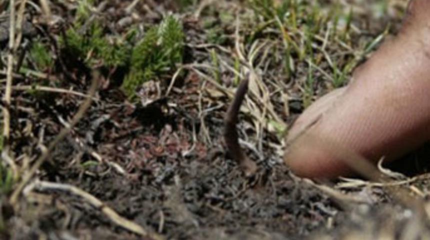 Hem satanın hem kullananın hayatı değişiyor