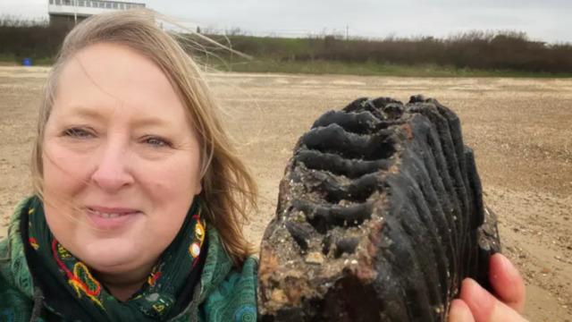 Sahilde yürüyüş yaparken ayağına takıldı! Tam 1.8 milyon yıllık.... İnanamadım ve çok heyecanlandım