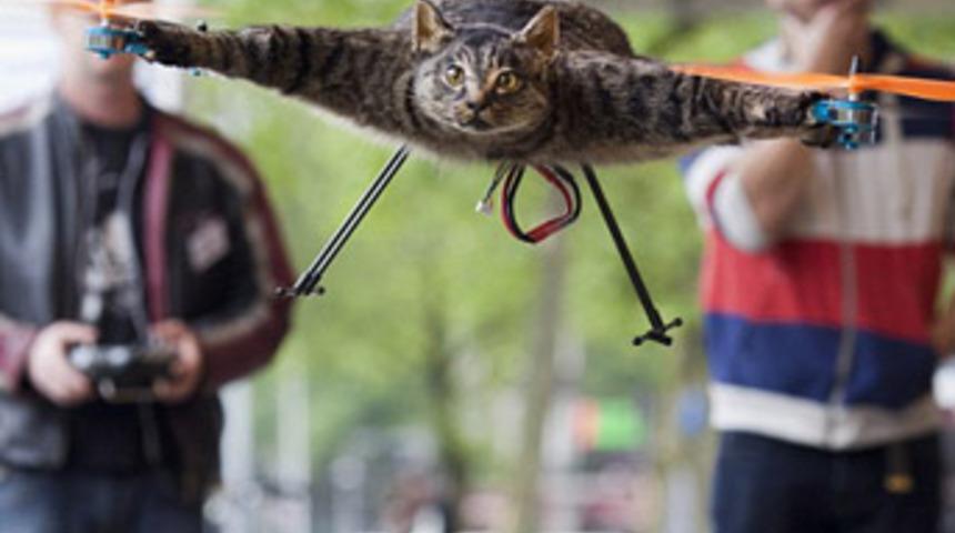 Kedisinden helikopter yaptı!