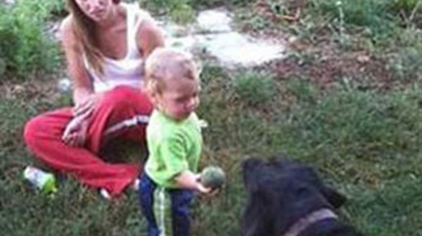 Havuza d&uuml;şt&uuml;, k&ouml;pek kurtardı