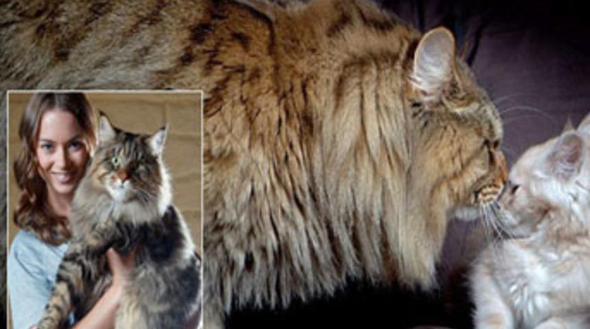 9 kilo, hala b&uuml;y&uuml;yor!