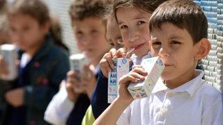 Kutu sütler morfin gibi!