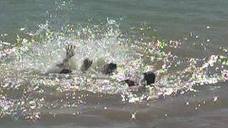 Boğulma anı saniye saniye kaydedildi