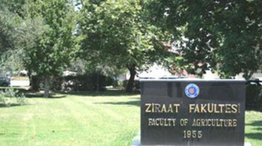 Üniversitede hintkeneviri şoku!