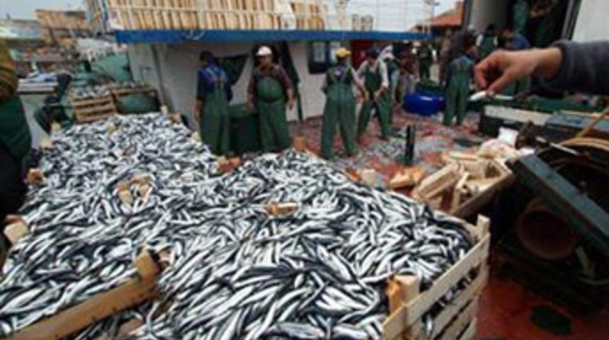 Balıkların "iklim g&ouml;&ccedil;&uuml;"!