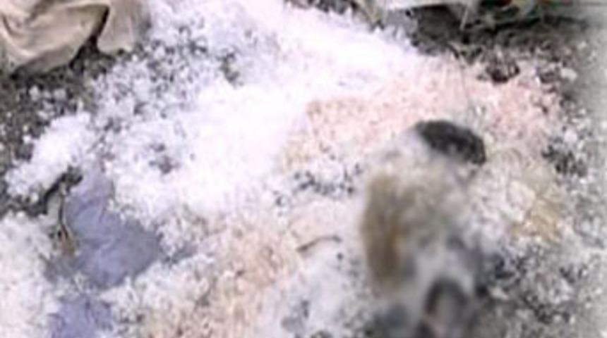 Ş&uuml;pheli paketten &ouml;yle bir şey &ccedil;ıktı ki!