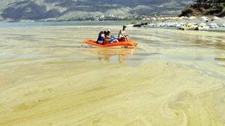 Yosun ölümleri gölü bu hale getirdi!