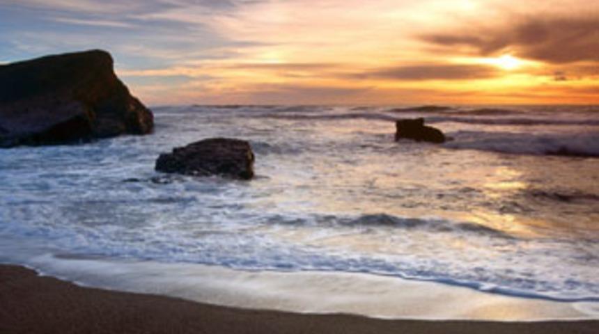 İsteyen sahilleri istediği gibi dolduracak