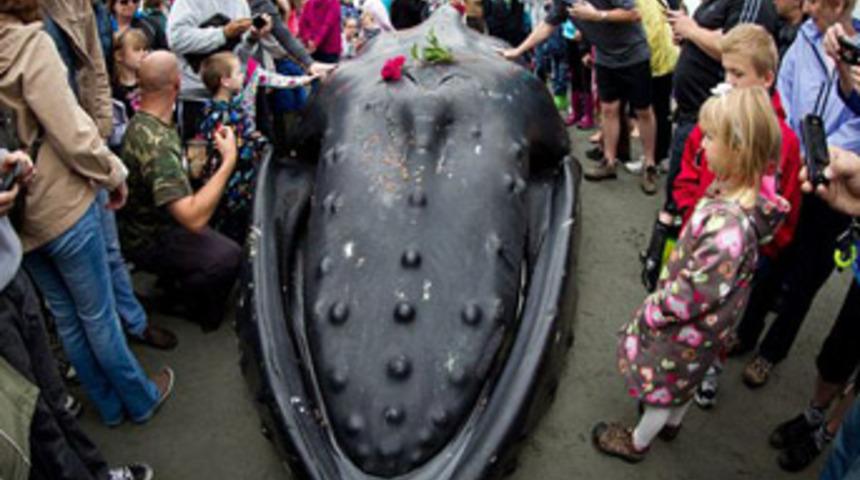 Dev balığa cenaze t&ouml;reni!