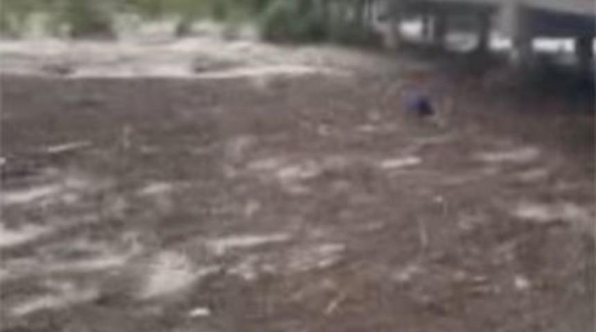 İşte Ayancık'ta selin geliş anı!