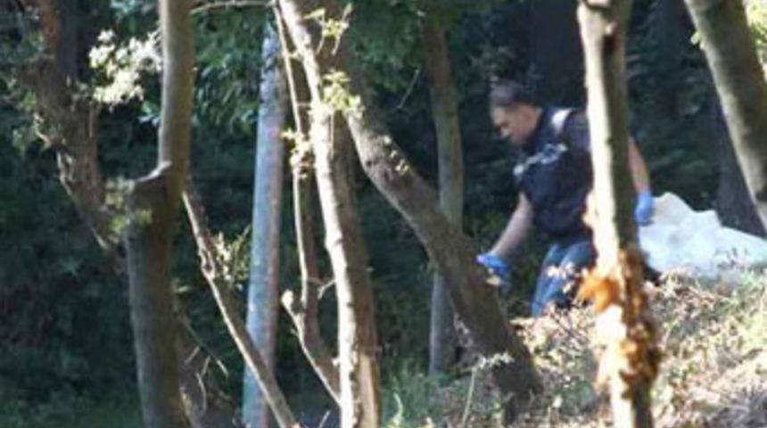 &Ccedil;ubuklu Korusu'nda insan kemikleri bulundu