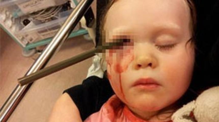 Mucize eseri hayatta kaldı!