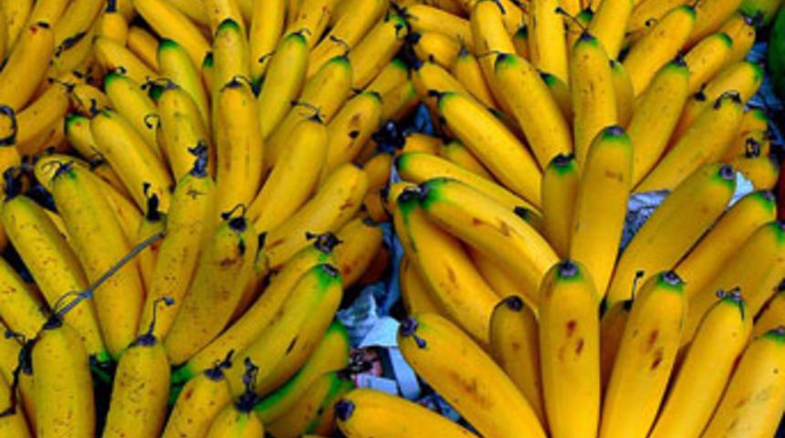 Muzun şaşkına çeviren gen haritası