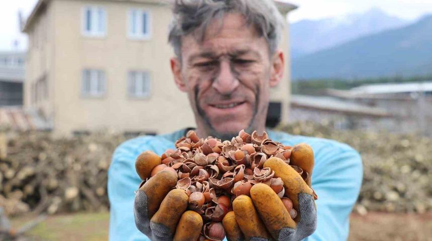 İthal edilen kömürü, onlarca denemenin ardından fındık kabuğundan üretti