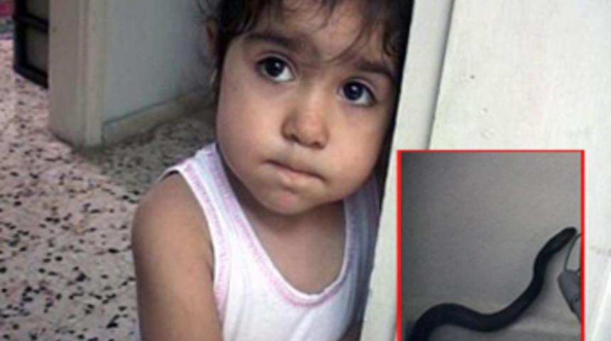 &Ccedil;ığlıkları yılanı yakalattı!